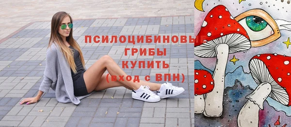 спиды Алзамай