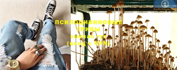 стафф Алексеевка