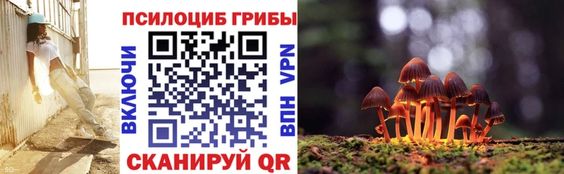Галлюциногенные грибы Cubensis  закладки  Ясный 